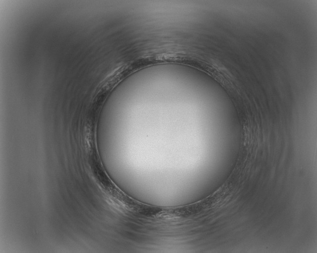 X0000060790648200511101035