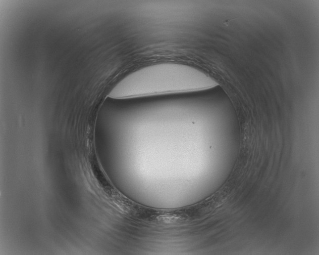 X0000060790650200511101035