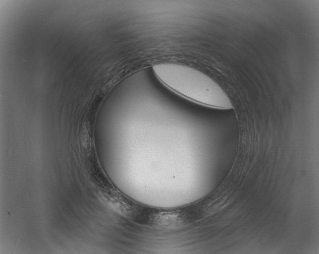 X0000060790651200511101035