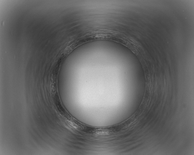 X0000060790653200511101035