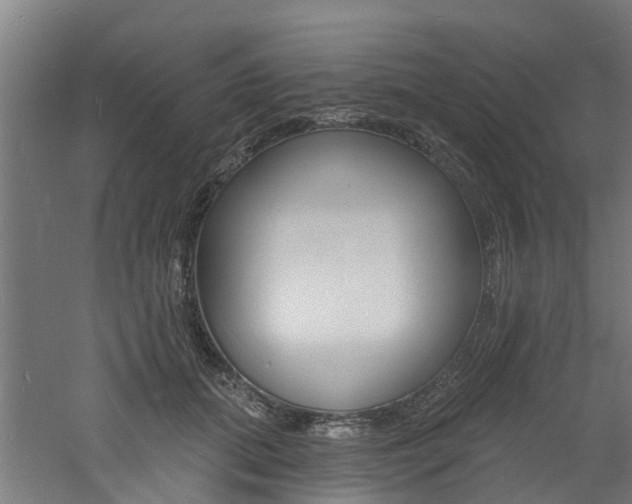 X0000060790655200511101035