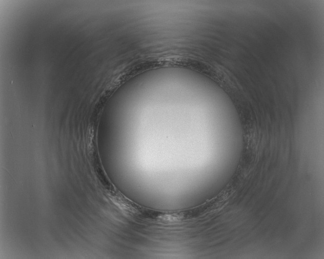 X0000060790660200511101035