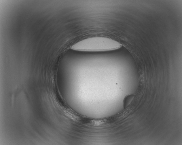 X0000060790662200511101035