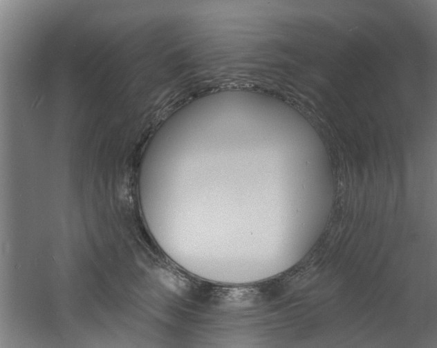 X0000060790663200511101035