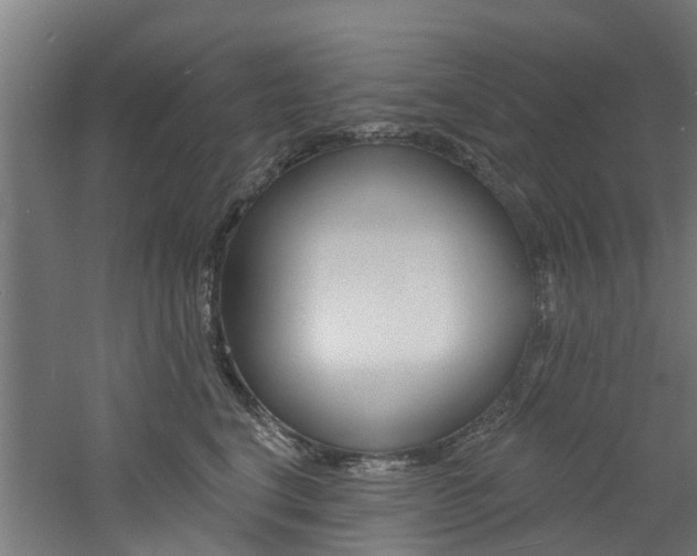 X0000060790664200511101035