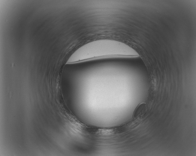 X0000060790665200511101035