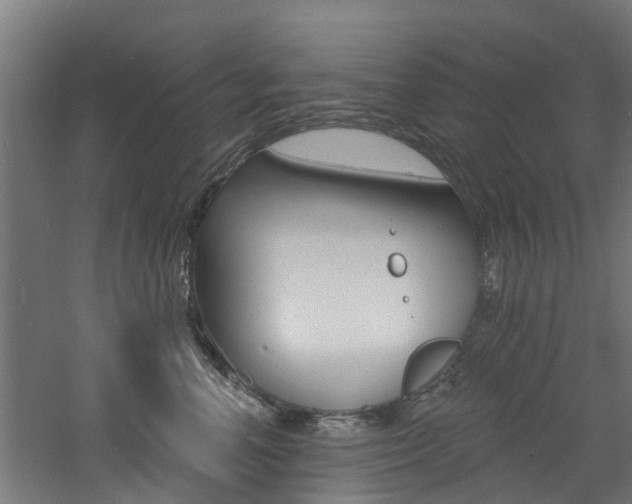 X0000060790666200511101035