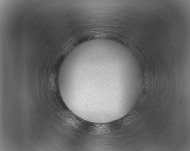 X0000060790667200511101036