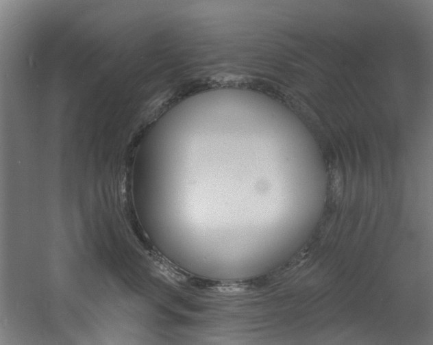 X0000060790668200511101036