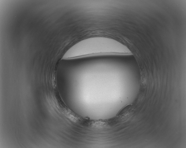 X0000060790669200511101036