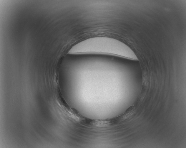 X0000060790670200511101036