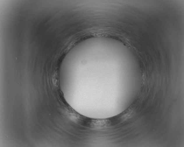 X0000060790671200511101036