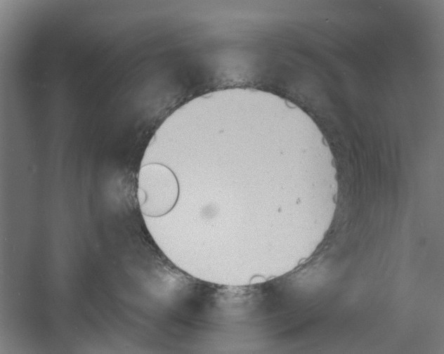 X0000060790672200511101036