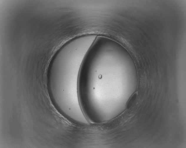 X0000060790673200511101035