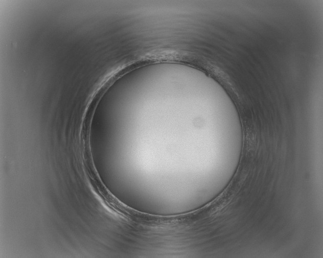 X0000060790674200511101035