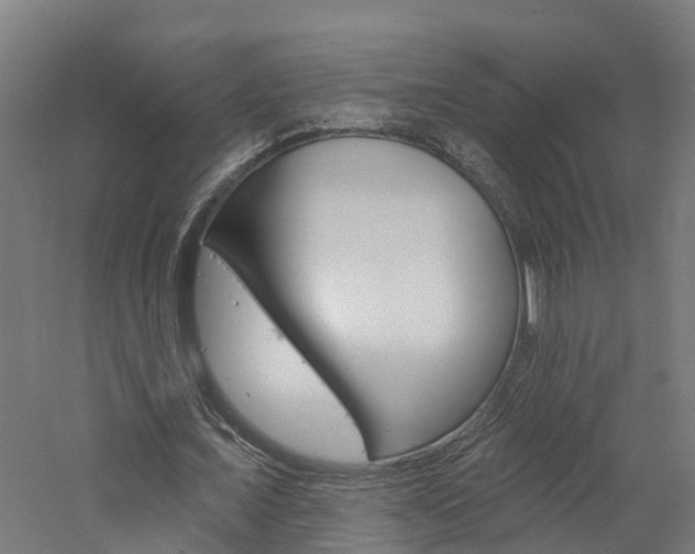 X0000060790675200511101035