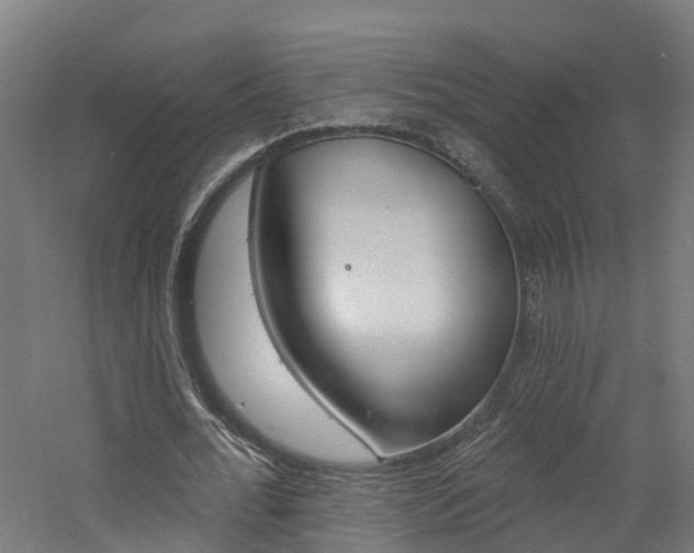 X0000060790676200511101035