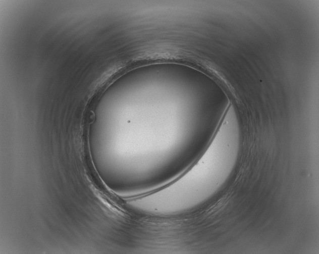 X0000060790677200511101035