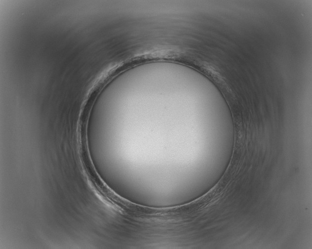 X0000060790678200511101035