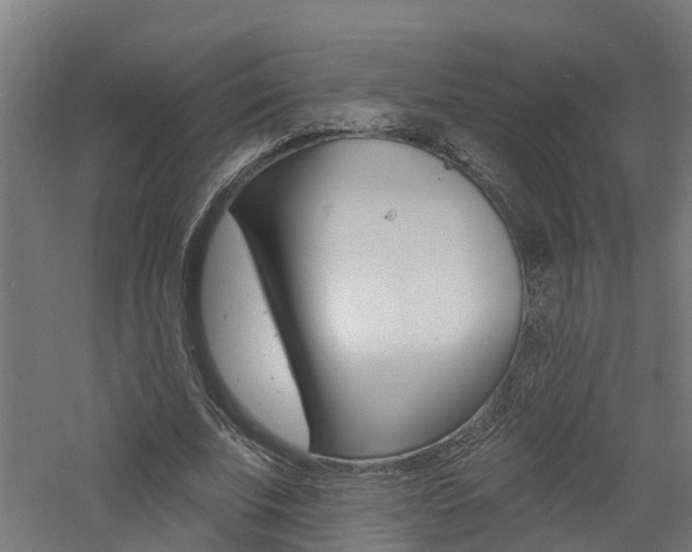 X0000060790679200511101035