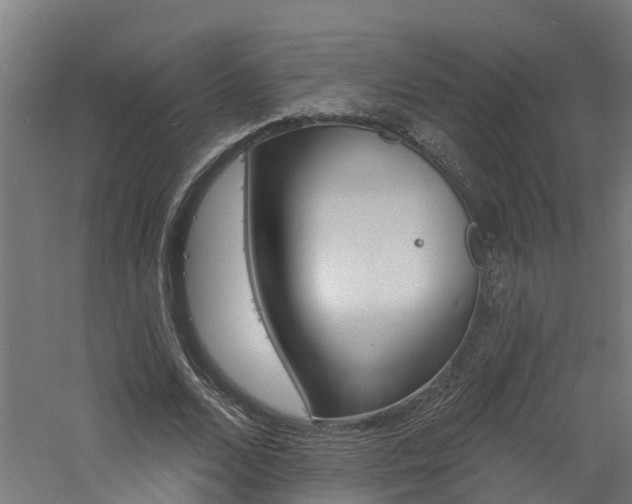 X0000060790680200511101035