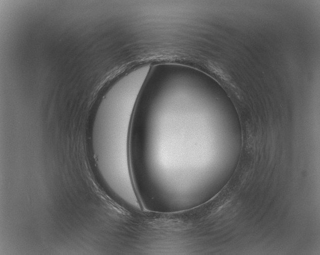 X0000060790681200511101035