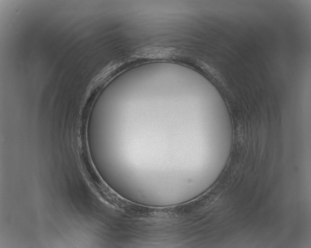 X0000060790682200511101035