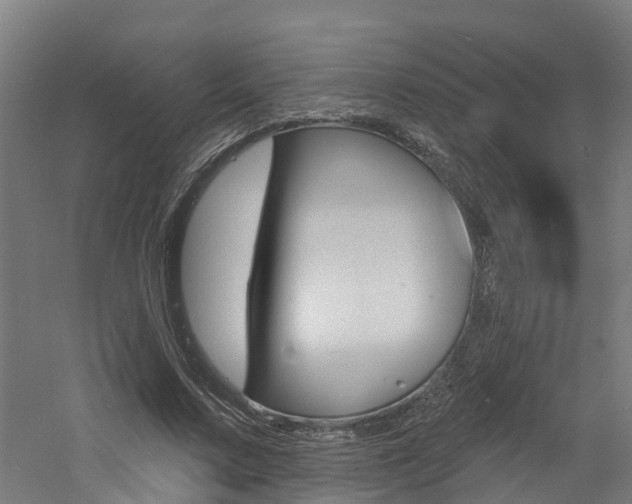 X0000060790683200511101035