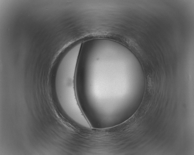 X0000060790684200511101035