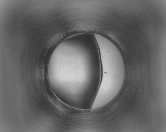 X0000060790685200511101035