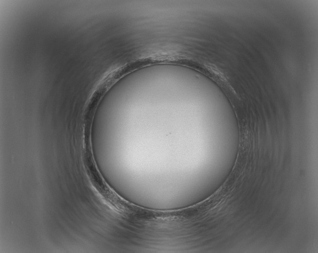 X0000060790686200511101035