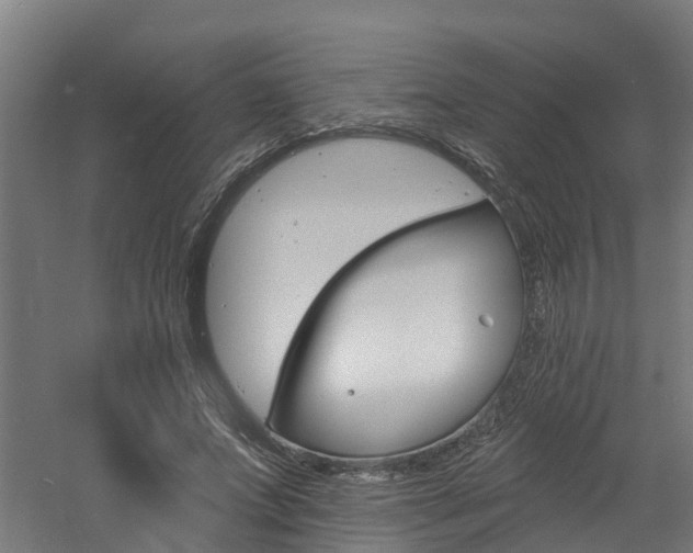 X0000060790687200511101035