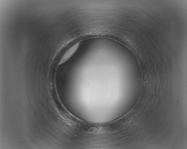 X0000060790688200511101035