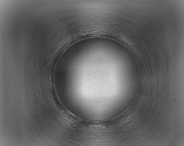 X0000060790689200511101035