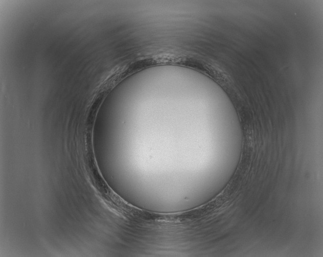 X0000060790690200511101034