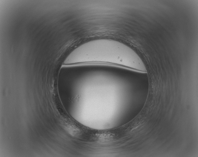 X0000060790693200511101034