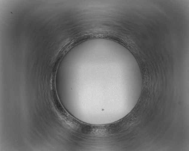 X0000060790694200511101034