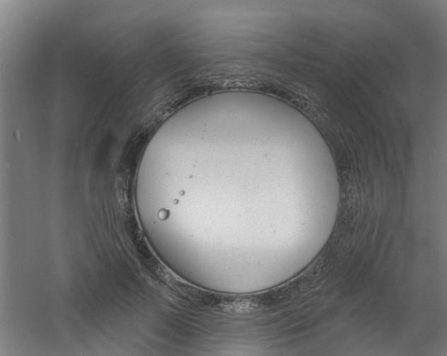 X0000060790695200511101034