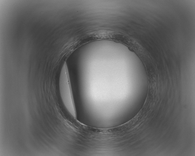 X0000060790696200511101034