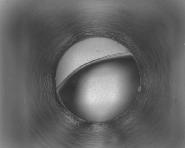 X0000060790697200511101034