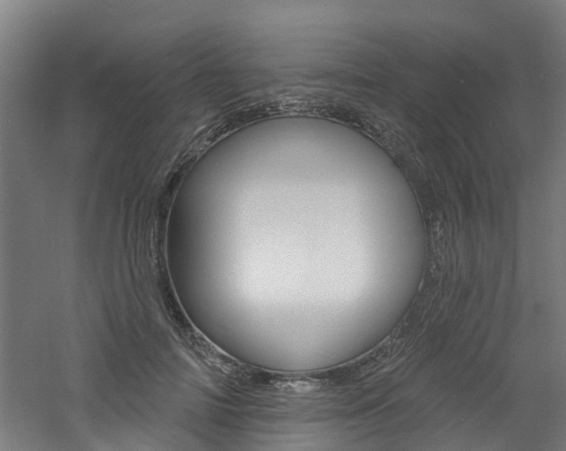 X0000060790698200511101034