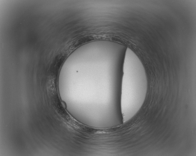 X0000060790699200511101034