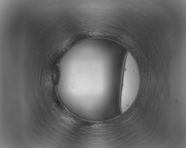 X0000060790700200511101034