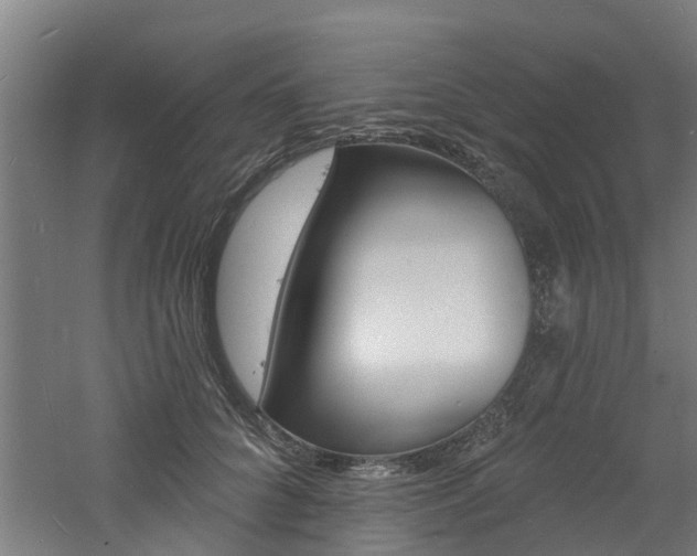 X0000060790704200511101034