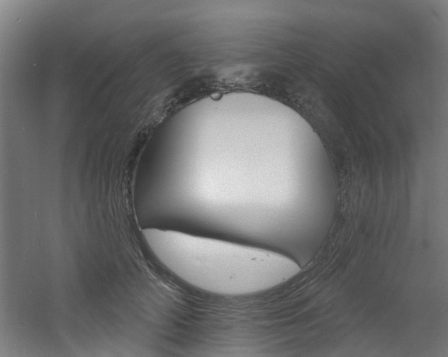 X0000060790706200511101034