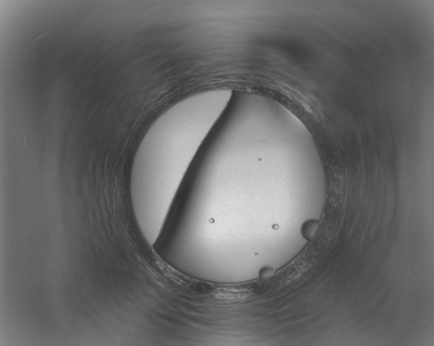 X0000060790707200511101034