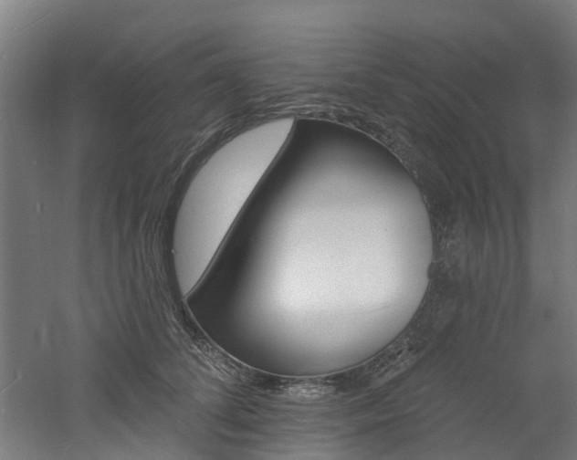 X0000060790708200511101034