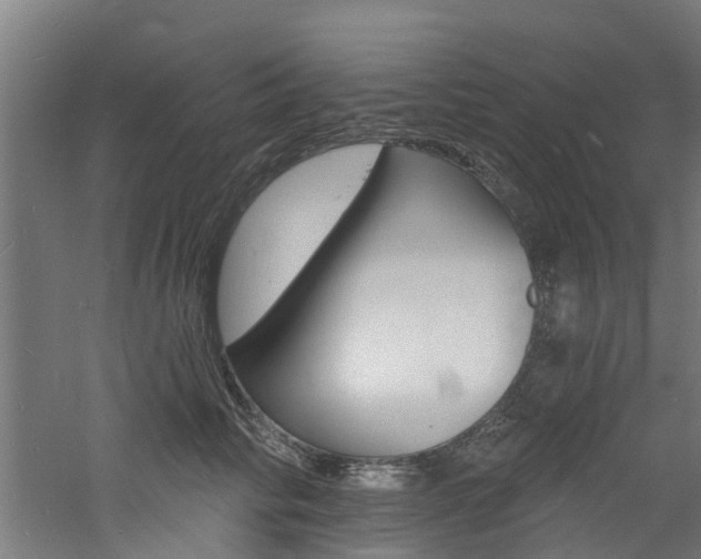 X0000060790710200511101034