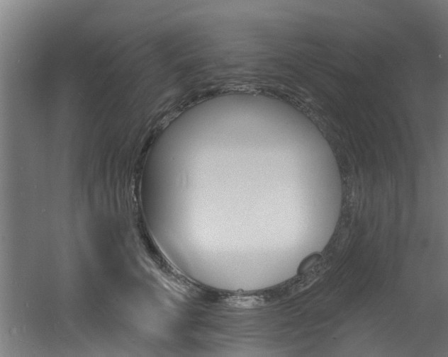 X0000060790711200511101034