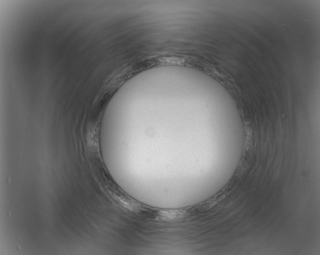 X0000060790713200511101034